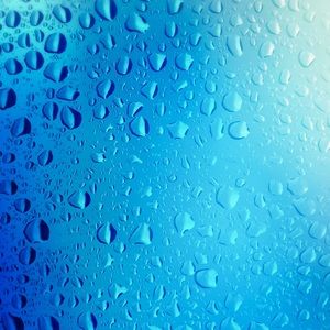 Meet your Posher, Lucica